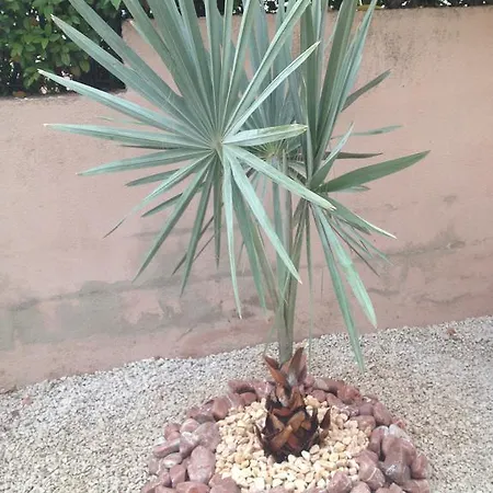 Les Lones Avec Jardin * 锡富尔勒普拉日