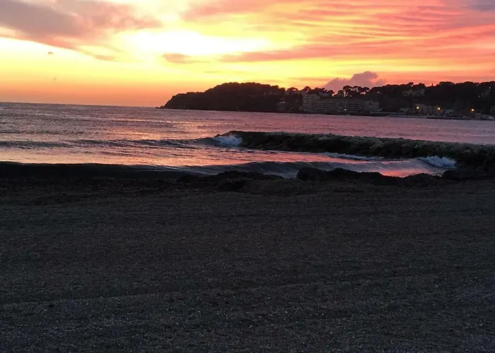 Les Lones Avec Jardin Six-Fours-les-Plages